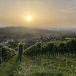 Wanderschoen * Sasbachwalden