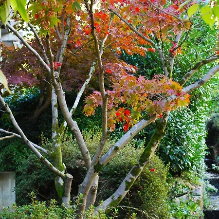 Wanderschoen Appartement Sasbachwalden