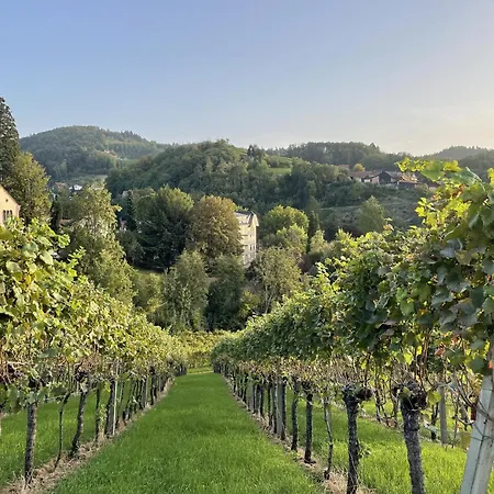 Apartment Wanderschoen Sasbachwalden