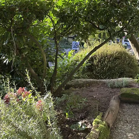 Appartement Wanderschoen *