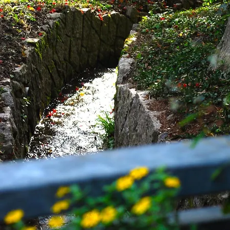 Wanderschoen Appartement