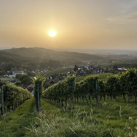 Apartament Wanderschoen Sasbachwalden