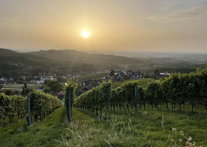 Wanderschoen * Sasbachwalden