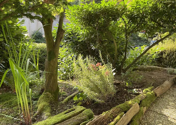 Wanderschoen Appartement *