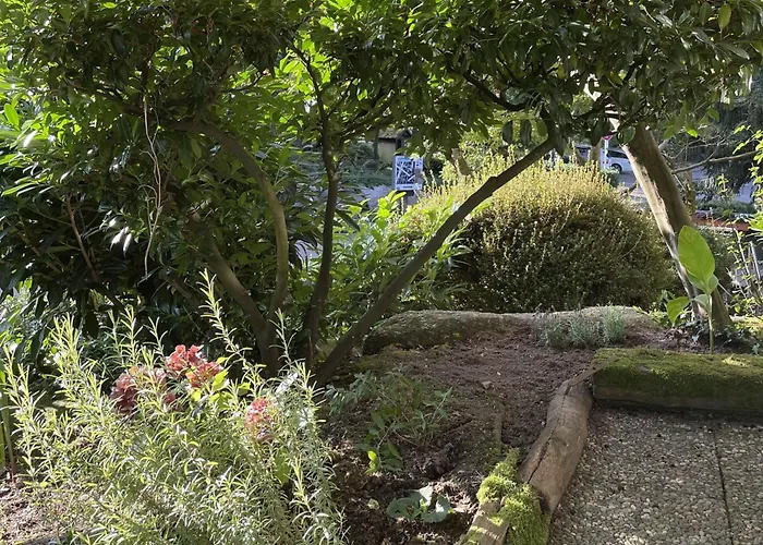 Appartement Wanderschoen *